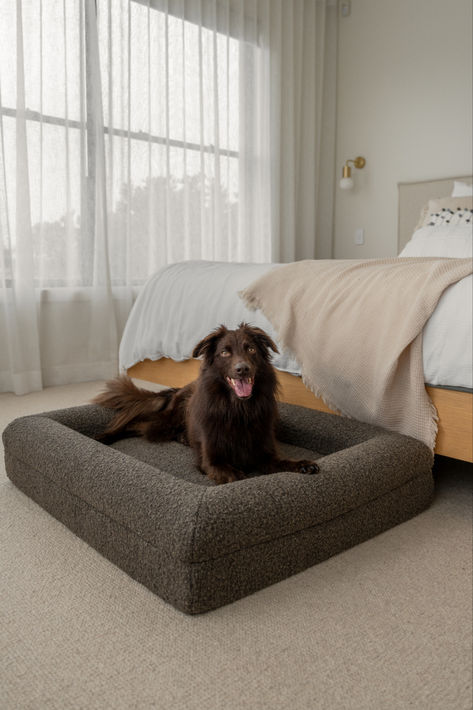 These Luxury Boucle Pet Beds come in 4 different sizes (Small to Extra Large).😍 Luxury Pet Furniture, Puppy Items, Pet Brand, Luxury Pet Beds, Orthopedic Dog Bed, Luxury Pet, Interior Stylist, Black Bedding, Grey Bedding