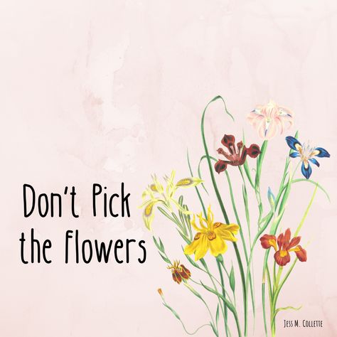 Don't Pick the Flowers Don't Wait For Someone To Bring Flowers, Someone Picking Flowers, If You Love A Flower Don't Pick It Up, Don't Forget Me Flower, Picking Petals Off Flowers, Earth Day, Something Beautiful, Flowers