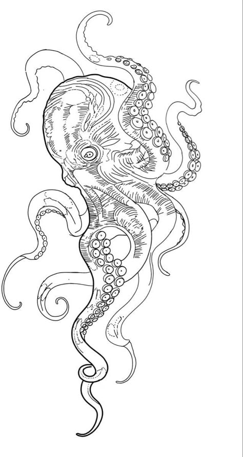 Octopus Tattoo Outline, Octopus Back Tattoo, Octopus Tattoo Stencil, Ocean Tattoos Men, Kraken Tattoo Design, Japanese Dragon Outline, Octopus Stencil, Octopus Outline, Koi Fish Drawing Tattoo