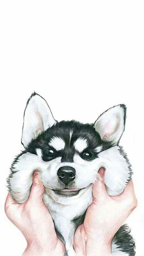 dog, wallpaper, and husky image Husky Cartoon Wallpaper, Cute Husky Wallpaper, Husky Wallpaper, Husky Drawing, Cute Dog Drawing, Wallpaper Dog, World Famous Paintings, We Bare Bears Wallpapers, Cute Husky