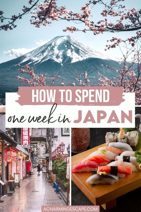 One Week In Japan Travel, Ultimate Japan Itinerary, 1 Week Japan Itinerary, 1 Week In Japan, Japan 7 Day Itinerary, 5 Days In Japan, One Week In Japan, Japan Where To Go, 7 Days In Japan