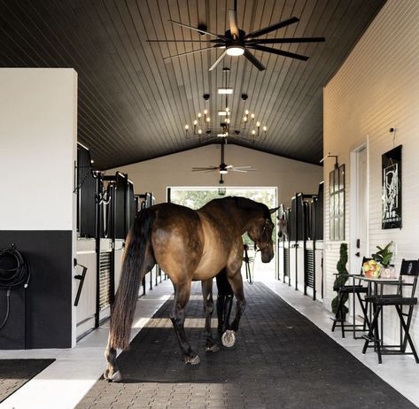 Stable Life Aesthetic, Equestrian Estate Luxury, Luxury Equestrian Aesthetic, Modern Stables Horses, Horse Barn Aesthetic, Modern Horse Ranch, Modern Horse Stable, Horse Stable Aesthetic, Modern Horse Barn