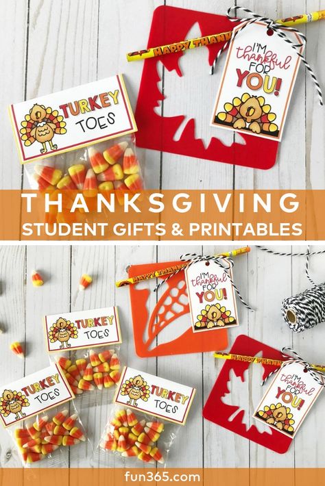 Show students how thankful you are for them by giving them gifts using these FREE gift tags! Download them here now. Student Thanksgiving Gifts, Thankful Gifts For Students, Student Thanksgiving Gifts From Teacher, Thanksgiving Gifts For Students From Teacher, Thanksgiving Student Gifts, Thanksgiving Gift For Students, Thanksgiving Gifts For Students, Gift Ideas For Students, Tk Classroom