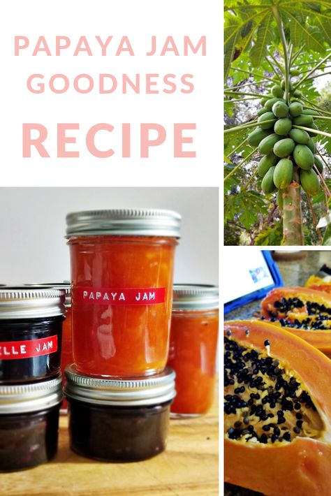 Papaya Jam recipe that requires only natural pectin.  Amazing flavor combination and easy to whip up. Papaya Jam Recipe, Papaya Jam, Jam Without Pectin, Papaya Tree, Healthy Substitutions, Jam Recipe, Fruit Jam, Jams & Jellies, Breakfast Buffet