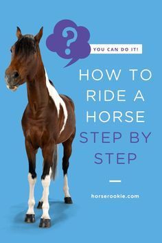 Horseback Riding For Beginners, Horse Riding For Beginners, Horse Riding Tips For Beginners, Horse For Beginners, How To Ride A Horse, Horseback Riding Outfit, Mounting A Horse, Equestrian Stables, Ride A Horse