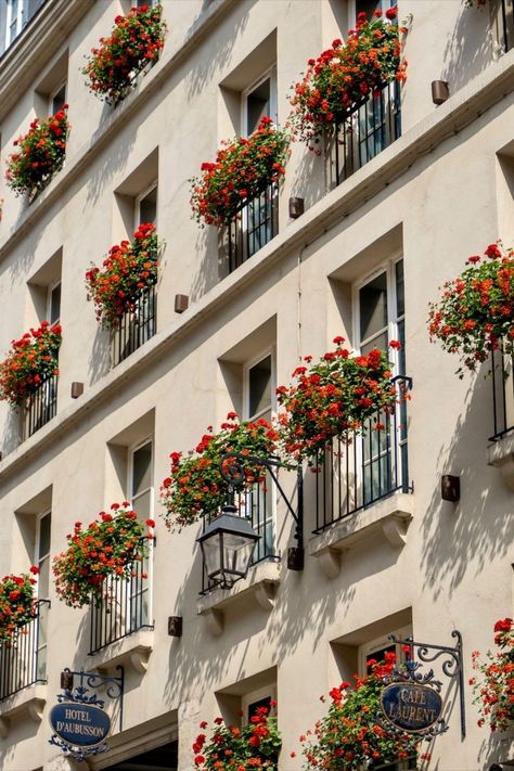 red geraniums on the left bank in paris Balcony Hanging Plants, Balcony Patio Ideas, Hotel Design Architecture, Paris Flowers, Hotel Flowers, House Window Design, Architecture Classic, Balcony Planters, Balcony Table And Chairs