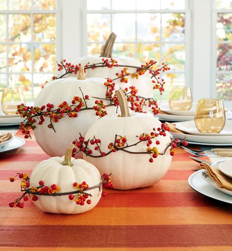 white-pumpkin-centerpiece-5cdc4f4f Pumpkin Porch Decorations, Autumn Home Decorations, Fall Lights, White Pumpkin Centerpieces, White Pumpkin Decor, Pumpkin Planter, Fall Pumpkin Decor, Porch Pumpkins, Pumpkin Display