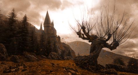 ً on Twitter: "autumn at hogwarts… " Harry Potter Fall Aesthetic Wallpaper, Harry Potter Fall Aesthetic, Harry Potter Fall, Harry Potter Pc, Fall Aesthetic Wallpaper, November Wallpaper, Gryffindor Aesthetic, Hufflepuff Aesthetic, Tapeta Harry Potter