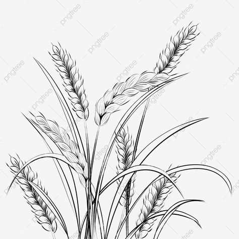 Wheat Drawing, Drawing Rain, Wheat Tattoo, Rain Drawing, Pasta Food Recipes, Recipes Chili, Ear Seeds, Wing Drawing, Cake Pizza