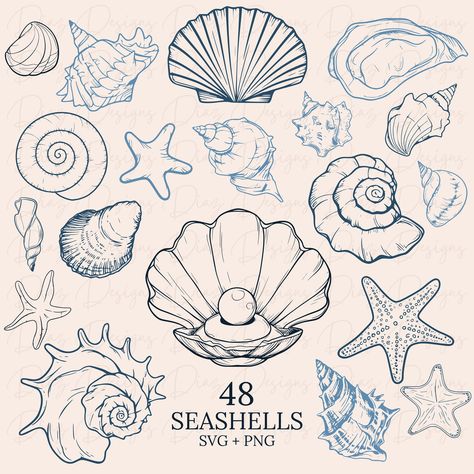 Shell Outline, Seashell Drawings, How To Draw Shells, Seashell Drawing Simple, Seashell Design, Shells Drawing, Shell Design, Seashell Drawing, Seashell Clipart