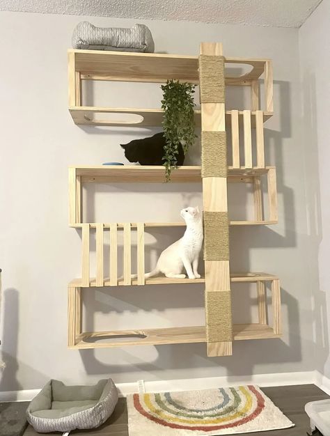 Cat Wall Gym, Diy Cat Climbing Wall, Cat Wall Furniture Diy, Wood Projects With Plans, Diy Cat Wall Shelves, Cat Walls, Diy Cat Shelves, Diy Cat Tower, Cat Room Decor