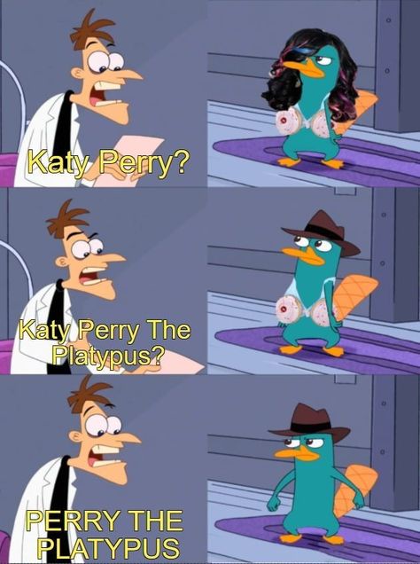 Phineas And Ferb Perry The Platypus, A Platypus Perry The Platypus, Parry The Platypus, Phineas And Ferb Memes, Phineas E Ferb, Perry The Platypus, Phineas Y Ferb, Funny Animals With Captions, Disney Jokes