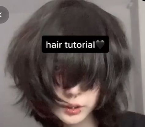 Vomitboy Hair, Fluffy Jellyfish Haircut, Vomitboy Haircut, Fox Haircut, Short Hair Long Bangs, Fluffy Bangs, Tomboy Haircut, Twilight Core, Bangs Ponytail