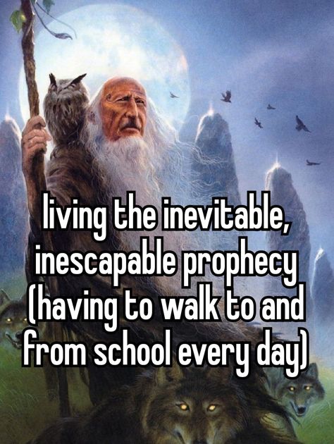 Wizard Memes Funny, Wizard Posting, Anti Memes, Wizard Core, Whimsical Wizard, Meme School, Shadow Wizard, Wise Tree, Medieval Memes