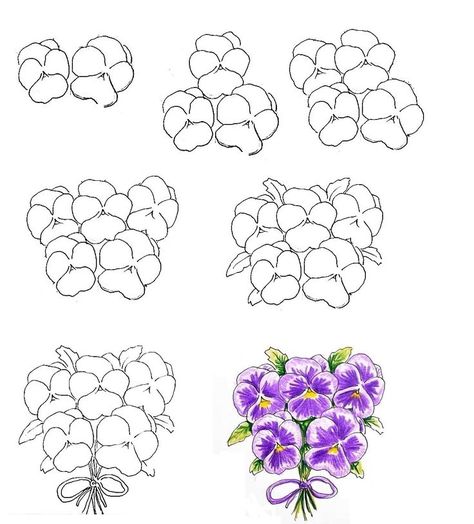 Create a Nice Pansy Drawing In seven Easy Steps Pansy Drawing, Drawing Simple, Pansies Flowers, Easy Steps, Pansies, Flower Drawing, Line Drawing, To Draw, Line Art