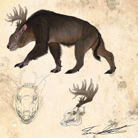 Terryl Whitlatch, Creature Anatomy, Write A Short Story, Creatures Art, A Short Story, Wildlife Artists, Fantasy Creatures Art, Creature Concept, Short Story