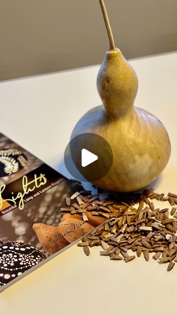 Eco Crafts, Gourds Birdhouse, Dream Come True, Gourds, Garden And Yard, Bird Houses, Sustainability, Making Out, Instagram