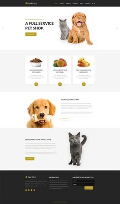 Pet Websites, Elegant Website Design, Pet Advertising, Ux Design Portfolio, Advertising Billboard, Facebook Ads Design, Flat Logo Design, Logo Design Love, Branding Portfolio