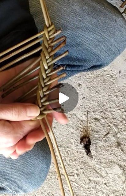 Willow Basket Weaving Tutorials, Basket Weaving Diy Tutorials, Willow Weaving Beginners, Willow Basket Weaving, Grass Weaving, Basket Willow, Basket Weaving Diy, Willow Basket, Willow Weaving