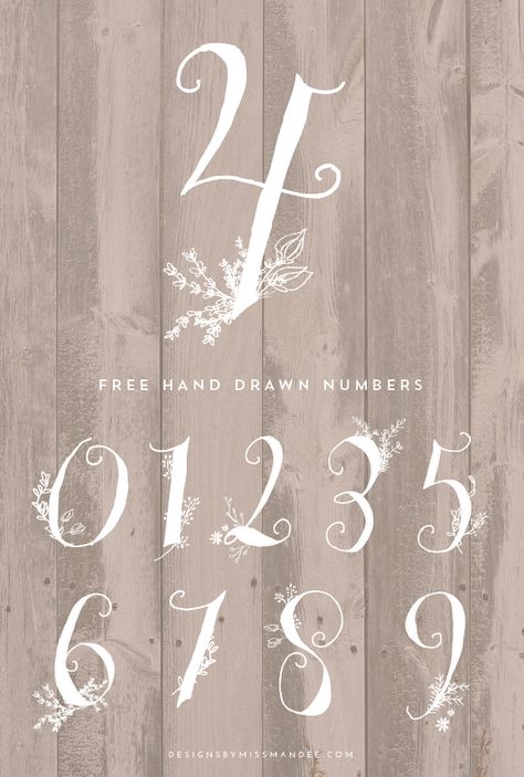 Stunning Hand Drawn Numbers - Designs By Miss Mandee Best Number Fonts, Nightmare Before Christmas Font, Christmas Fonts Alphabet, Christmas Fonts Free, Number Fonts, Holiday Fonts, Number Art, Doodle Fonts, Free Hand Drawing