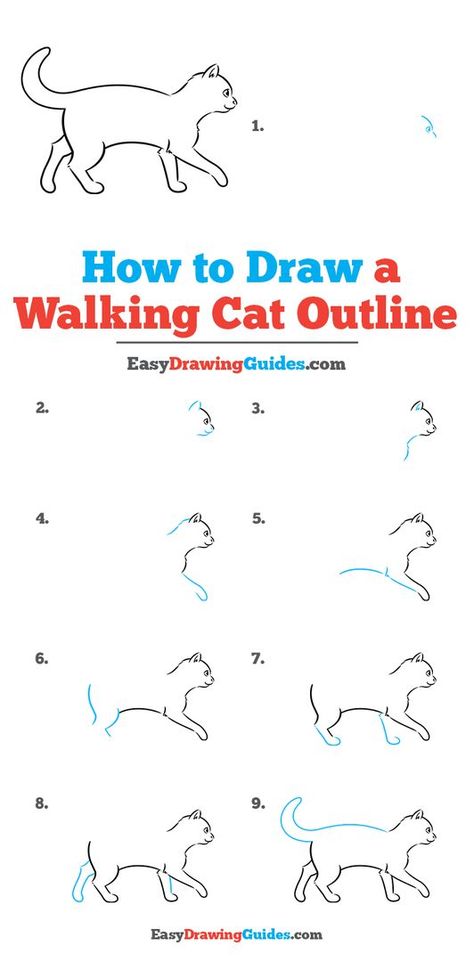 How To Draw Cat Eyes Step By Step, Basic Cat Drawing, Cat Drawing Tutorial Step By Step, How To Draw A Cat Step By Step Easy, How To Draw Cats Step By Step, Cat Walking Drawing, How To Draw A Cat Step By Step, How To Draw Animals Step By Step, Cat Outline Drawing