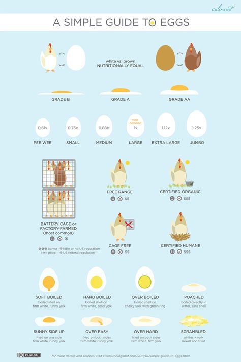 In this infographic you can find some really interesting facts about eggs.  - Ok, technically not fur, but the rules for this board was made by my cats Sig & Pele. Egg Styles, Food Charts, Cooking Guide, Food Info, Food Facts, Baking Tips, Egg Recipes, Kitchen Hacks, Food Hacks