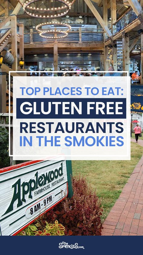 If you're taking a vacation, it can be difficult to find a restaurant that handles dietary restrictions. But here’s the good news for people who require, or prefer, gluten-free diets – there are plenty of options available throughout Pigeon Forge, Gatlinburg and Sevierville TN. You just have to know where to look since this information isn’t always readily available on individual restaurant websites. Check out these best places to eat gluten free if you're in the Great Smoky Mountains! Gluten Free Gatlinburg Tn, Gluten Free At Dollywood, Best Restaurants In Pigeon Forge Tn, Gatlinburg Christmas, Pigeon Forge Restaurants, Gatlinburg Restaurants, Gatlinburg Attractions, Tennessee Restaurants, Things To Do In Gatlinburg