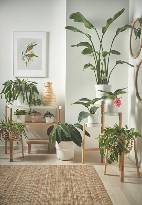 Ikea Plants, Ikea Catalog, نباتات منزلية, Interior Decorating Tips, Plant Decor Indoor, House Plants Decor, Style Deco, Scandinavian Interior, Interior Design Tips