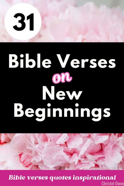 Receive a new beginning from God! Encourage yourself with these 31 inspirational Bible verses quotes about fresh starts. What does God say about new beginnings? Scriptures on our new beginning in Christ! Bible Verses About New Beginnings, Quotes About Fresh Starts, Fresh Start Quotes, Encouraging Bible Quotes, Hope Bible Verses, Fresh Starts, Best Bible Verses, Bible Text, New Beginning Quotes