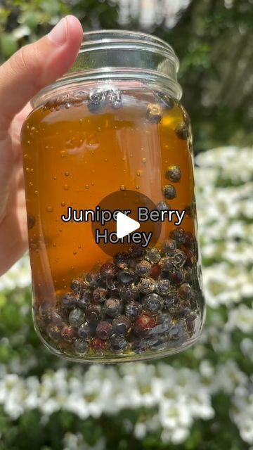 Claire | Sustainable Beauty | Juniper Infused Honey! 🌱🐝

Juniper berries are known for their digestive benefits and anti-inflammatory properties. This honey is easy to... | Instagram Follow For More Instagram, Infused Honey, Sustainable Beauty, Juniper Berries, Juniper Berry, Super Good, Digestive Health, Herbal Remedies, The Recipe