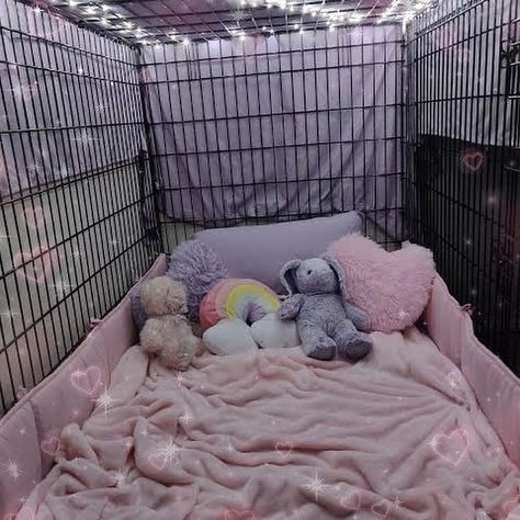 (not my photo) Big Dog Cage, Puppy Space, Pet Regression, Puppy Time, Yip Yip, Pet Spaces, Dog Cage, Dog Cages, Puppy Play