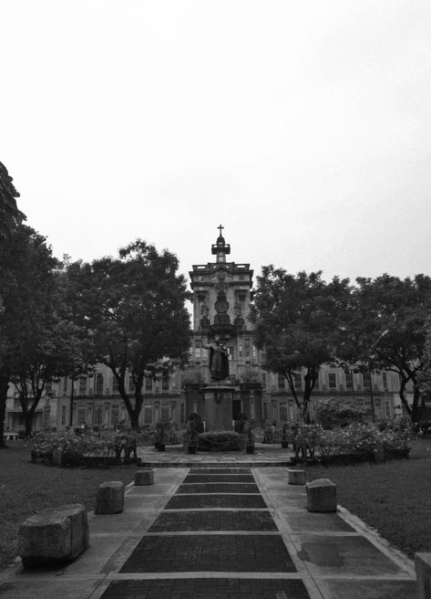 University Of Sto Tomas, Manila, University