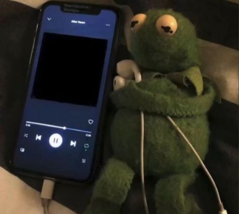 Template Meme, Music Memes Funny, Funny Face Photo, Music Cover Photos, Playlist Covers Photos, Kermit Funny, Not Musik, Fotografi Iphone, Haiwan Lucu