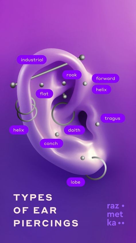 Body piercing chart