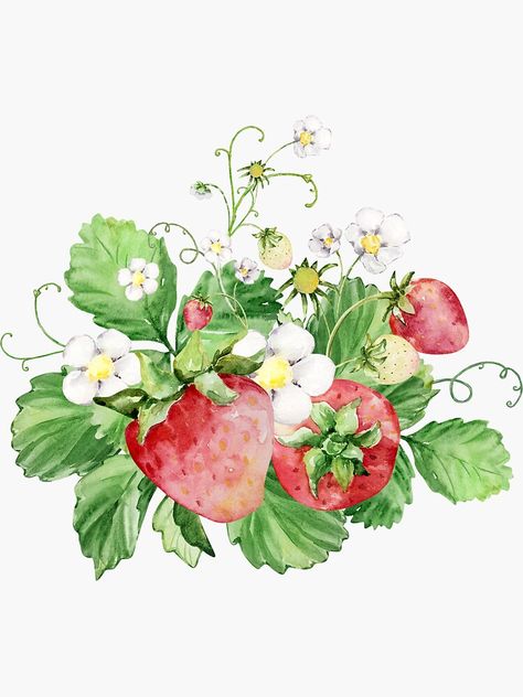 Watercolor strawberry #watercolor #strawberry Strawberries Watercolor, Painted Strawberries, Strawberry Bush, Watercolor Strawberries, 2024 Bujo, Strawberry Sticker, Watercolor Strawberry, Strawberry Watercolor, Strawberry Picking