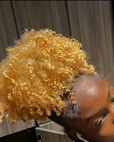 Dyed Afro, Gold Hair Dye, Yellow Blonde Hair, Basketball Hairstyles, Hair Curl, Goddess Braids Hairstyles, Edges Hair, Natural Blonde, Girls Natural Hairstyles