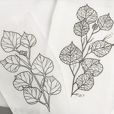 Aspen Tree Line Drawing, Aspen Tree Branch Tattoo, Aspen Leaves Drawing, Aspen Branch Tattoo, Aspen Leaves Tattoo, Aspen Leaf Drawing, Aspen Leaf Tattoo, Aspen Tattoo, Aspen Tree Tattoo