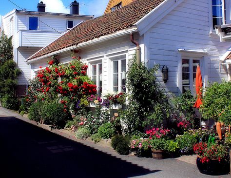 Mandal, Norway, July 18, 2010 by BumbyFoto, via Flickr Mandal Norway, Scandinavian Summer House, Norway Viking, July 18th, Old World Style, Scandinavia, Summer House, Small Towns, Cozy House