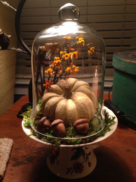 Fall Cloche Decor Ideas, Cloche Fall Decor, Autumn Cloche Ideas, Fall Cloche Ideas Glass Domes, Fall Cloche Ideas, Fall Cloche, Glass Cloche Decor, Stone Pumpkin, Cloche Ideas