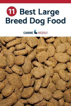 Best Large Breed Dog Food (Dry) - Read here and learn the best choices for meeting the special nutritional requirements for your large breed.  Best Large Breed Dog Food (Dry) - Read here and learn the best choices for meeting the special nutritional requirements for your large breed. Dog Food Recipes For Large Breeds, Best Puppy Food For Large Breeds, Best Dry Dog Food Brands, Breeding Dogs, Best Dry Dog Food, Best Dog Food Brands, Pitbull Dogs, Large Breed Dogs, Dog Wellness