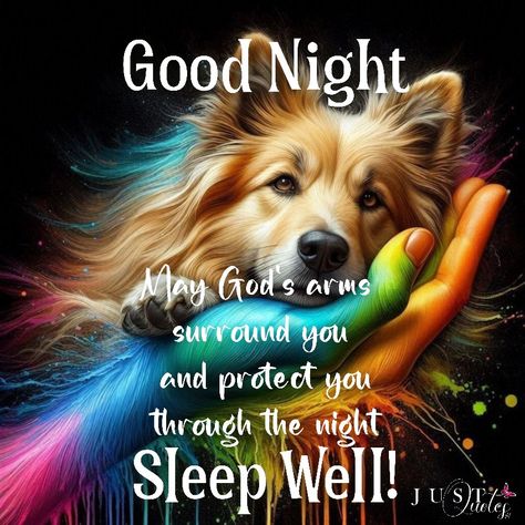 Scotties Dog, Goodnight Images, Evening Blessings, Goodnight Messages, Evening Quotes, Night Pics, Good Night Funny, Lekker Slaap, Goodnight Quotes