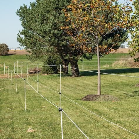 Rope Fence, Deer Deterent, Deer Fencing, Food Plots For Deer, Deer Food, Deer Resistant Garden, Deer Farm, Deer Repellant, Flower Fence