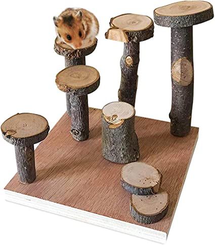 Amazon.com : Hamster Climbing Wooden Stand Platform, Pet Cage Playground Natural Wood Chew Toys for Dwarf Hamsters, Syrians Hamster, Gerbil, Mouse, Rat : Pet Supplies Kandang Hamster, Diy Hamster Toys, Hamster Platform, Rat Cage Accessories, Mouse Cage, Playground Activities, Hamster Accessories, Hamster Diy, Hamster Care