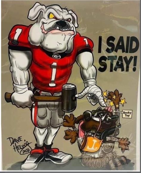 Uga Vs Tennessee, College Sports Graphics, Georgia Bulldog Mascot, Dawgs Football, Georgia Tech Football, Georgia Bulldawgs, Gamecocks Football, Taylor Gifts, Uga Football