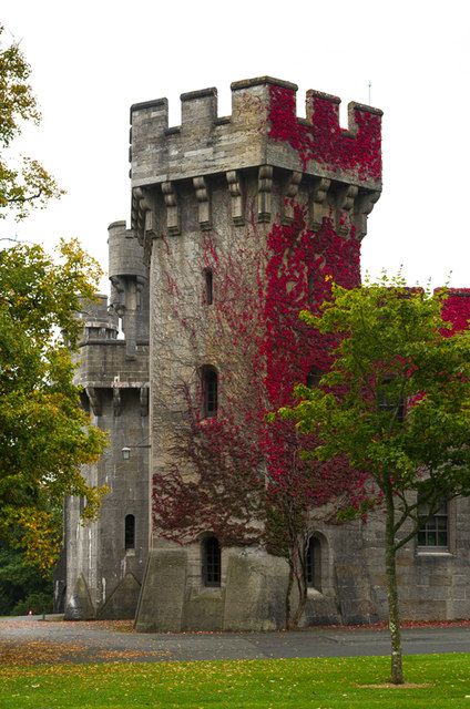 Medieval Fort, Denmark Castles, Penrhyn Castle, Castles In Wales, Small Castles, Old Castle, Virginia Creeper, Castle Wall, Castle Designs