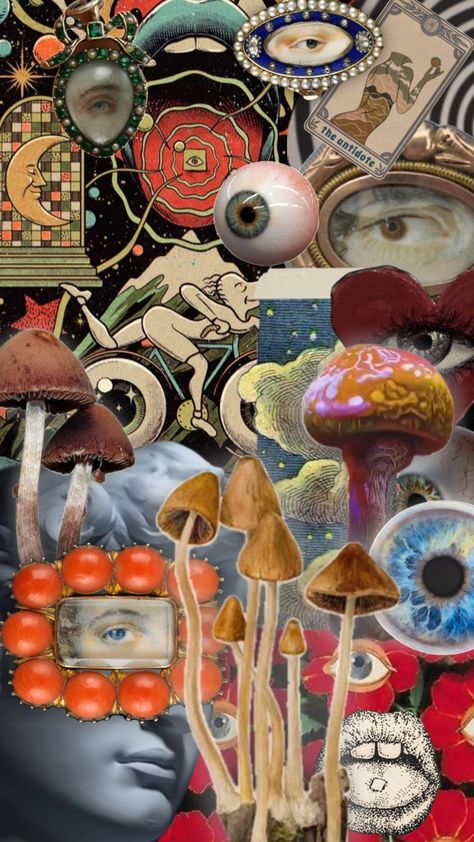 shrooms & things🍄🍄 #weirdcore #mushroom #mushrooms #mushroomcore #trippycore #trippy #trip #trippyaesthetic #vibes #eye #eyes #eyesaesthetic #surrealism #trippyart Shrooms Aesthetic, Mushroom Trip, Aesthetic Instagram Accounts, Mushroom Core, Surreal Collage Art, Trippy Aesthetic, Chair Art, Mushroom Wallpaper, Surreal Collage