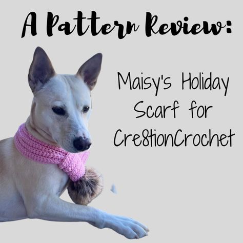 Maisy’s Holiday Dog Scarf – Crochet Pattern Review Crochet Dog Cowl Free Pattern, Crochet Dog Scarf Free Pattern, Dog Scarf Crochet Pattern, Dog Scarf Crochet, Holiday Scarves, Button Scarf, Super Cute Dogs, Holiday Dog, Cooling Scarf