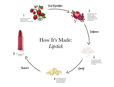 how to make natural lipstick diagram Lipstick With Eyeshadow, Lipstick As Eyeshadow, Make Lipstick, Lipstick Model, Lipstick Ingredients, How To Make Lipstick, Diy Lipstick, Cute Eyeshadow Looks, Natural Lipstick