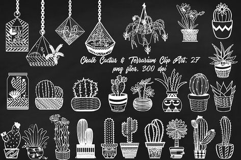 Chalk Cactus & Terrarium ClipArt by FrankiesDaughtersDesign on @creativemarket Chalkboard Drawing, Chalkboard Doodles, Cactus Terrarium, Terrarium Wedding, Chalk Wall, Chalkboard Lettering, Terrarium Ideas, Chalkboard Designs, Chalkboard Wall