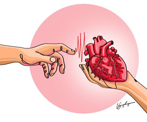 #organ_transplantation #mathrubhumi #vijeshviswam Organ Donation Poster, Umbrella Craft, Whatsapp Wallpapers Hd, Organ Transplant, Organ Donation, Baby F, Conceptual Illustration, Poster Drawing, Cardiology